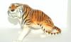Тигр Шерхан превью 748839.