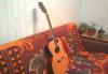 Гитара Washburn EA-10 превью 758746.