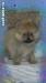 Миниатюрные шпицыки превью 759835.