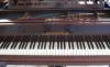 Превью 1896 Bechstein B Санкт-Петербург - 1