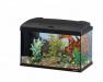 Аквариум capri 60 превью 774215 Аквариум capri 60 превью 774215.