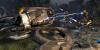 Превью Unreal Tournament 3 Москва - 2