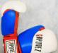 GAPONEZ Боксерские Перчатки 3х-ЦВЕТ - Россия превью 784962.