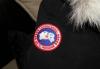 Превью Canada goose chilliwack оригинал пуховик путина Москва - 3