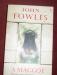 John fowles "A maggot" превью 786975.