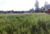 Превью 15 соток под ижс в с. Макарово.  40 км Черноголовка - 1