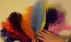 Превью Продажа перьев Москва - 2