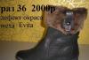 Превью Сапоги зимние новые 36-37 размер Elcne,Evita Москва - 1