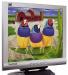 Монитор ЖК 15 viewsonic ve500 превью 797063.
