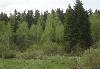 Превью Лесколово-кискелово (Всеволожский р-н) Санкт-Петербург - 1