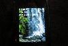 Превью Nokia 8800 Carbon Москва - 1