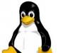 Рассылка дистрибутивов ос GNU/Linux превью 801168.