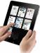 Превью Ipad wifi и 3G Санкт-Петербург - 2