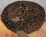 Шапка каракулевая женская . размер 58. Винтаж превью 803741.