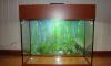Продам аквариум 30л превью 803874 Продам аквариум 30л превью 803874.