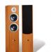 PureAcoustics XTI50 F beech превью 804103.