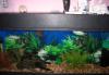 Аквариум превью 808923 Аквариум превью 808923.