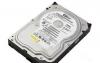 80Gb Western Digital WD800JD превью 811624.