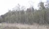 Превью Г. Чехов земельный участок 10 cоток в репниково Чехов - 1