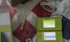 Nintendo DS Lite + пиратский картридж превью 810998.