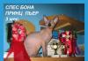 Превью Канадский сфинкс  котята Москва - 2