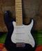 Greg Bennett Samick Music превью 826725.