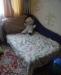 Прода подрастковую кравать превью 833663.