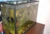 Аквариум 84 литра превью 838337 Аквариум 84 литра превью 838337.