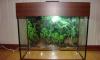 Аквариум 30л. с оборудованием превью 847286 Аквариум 30л. с оборудованием превью 847286.
