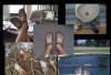 Превью Vibram fivefingers Москва - 1