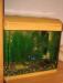 Продам аквариум 15 литров превью 859687 Продам аквариум 15 литров превью 859687.