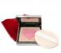 Превью Пудра YSL Love collection (ограниченный выпуск) Москва - 1