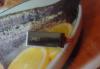 Превью Samsung mobile wimax svc u- 200 USB 4G yota Москва - 0