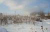 Превью Зем. участок 30 соток для ижс в д. Вышегород Москва - 3