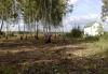 Превью Продаю участок  кусочек березовой рощи Москва - 1
