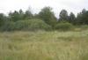Превью Земельный участок 15 соток, деревня Мешково Медынь - 2