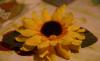 Заколка "Подсолнух" превью 876580.