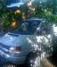Превью Volkswagen Transporter 1993 Москва - 3