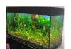 Аквариум с оборудованием и доставкой превью 892204 Аквариум с оборудованием и доставкой превью 892204.