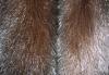 Превью Шуба норковая,натуральная Санкт-Петербург - 2