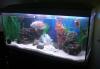 Аквариум 230л.б/у с тумбой "Cayman professional" превью 897070 Аквариум 230л.б/у с тумбой "Cayman professional" превью 897070.