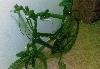 Превью Stels непомню какой хочу 5000 или обмен любой Москва - 1