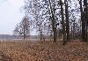 Превью Дом на берегу озера, 100 км., Горьковское ш Москва - 3