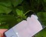 HTC p3700 touch diamond рст превью 907078.