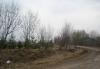 Превью Продается участок в д. Головково. 12 соток. ижс Москва - 2