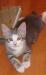Котенок 1,5-2 месяца превью 925010.