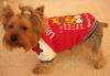 Одежда для собак опт и розница превью 935520.