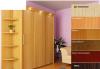 Превью Шкаф-купе 3-хдверный 213(225)х240х60см Москва - 0