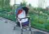 Коляска прогулочная Prenatal превью 961537.