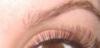 Наращивание ресниц по японской технологии превью 969939.